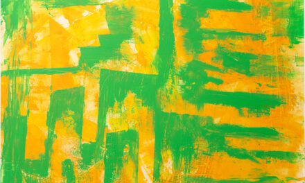 Into the rainforest 1