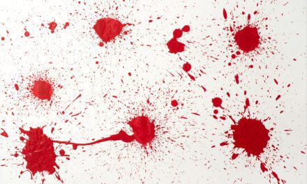 Torro bravo, the brave bull