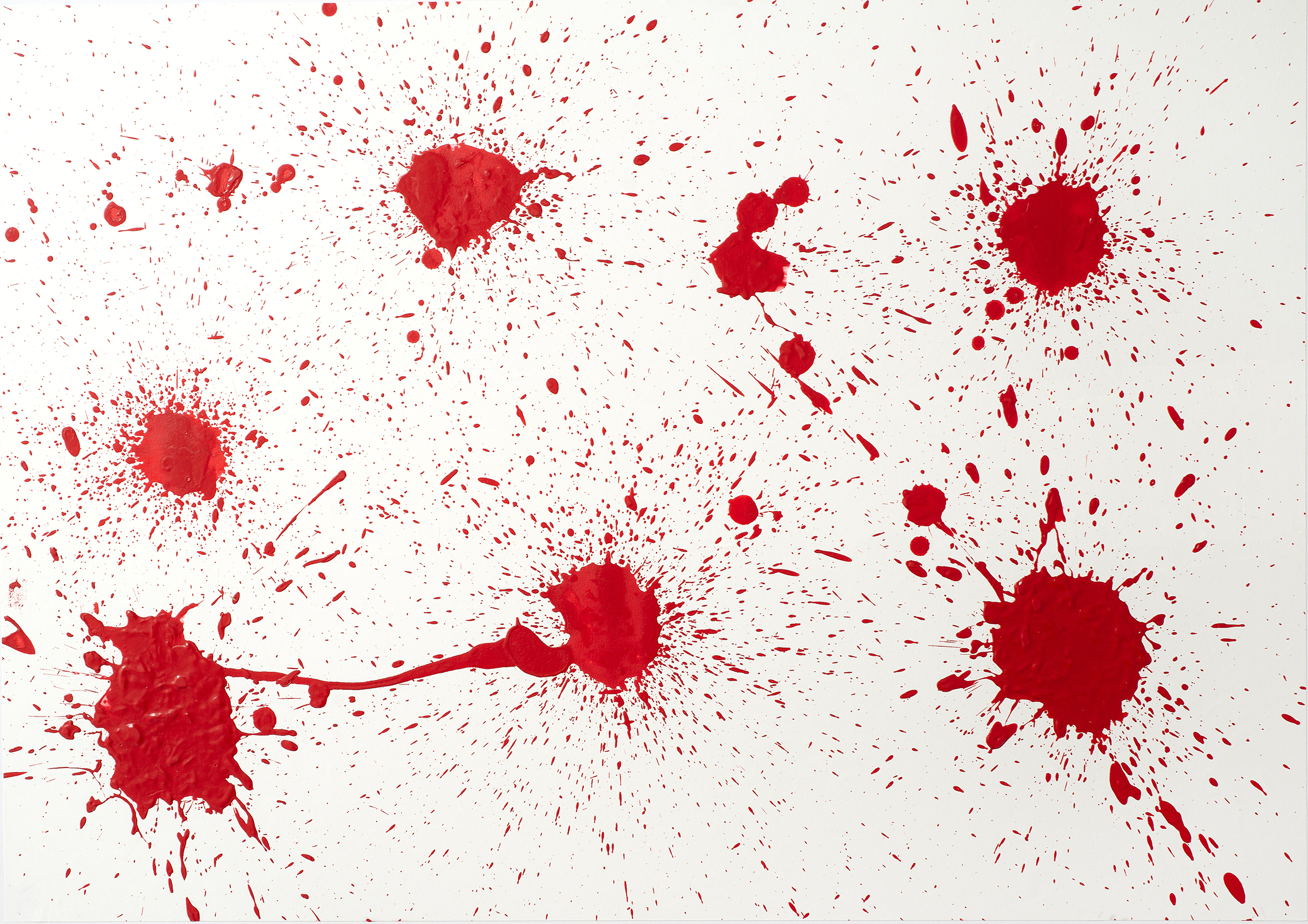 Torro bravo, the brave bull