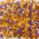 Bougainvillea 2