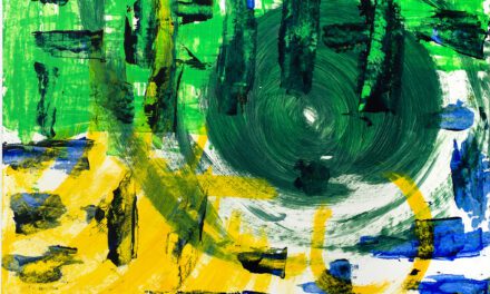 Into the rainforest 2