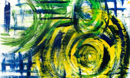 Into the rainforest 3