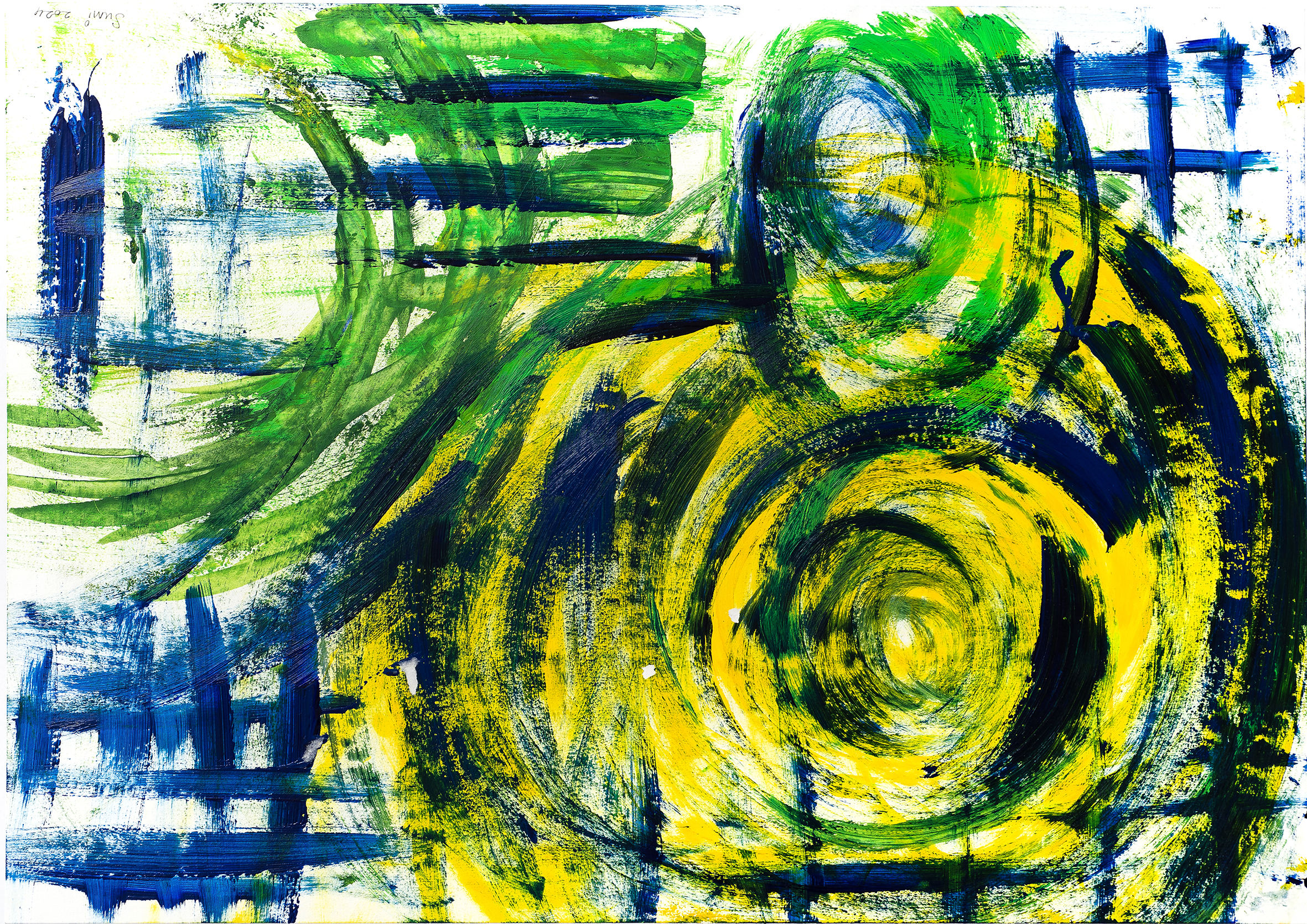 Swirling Downstream Into the Rainforest