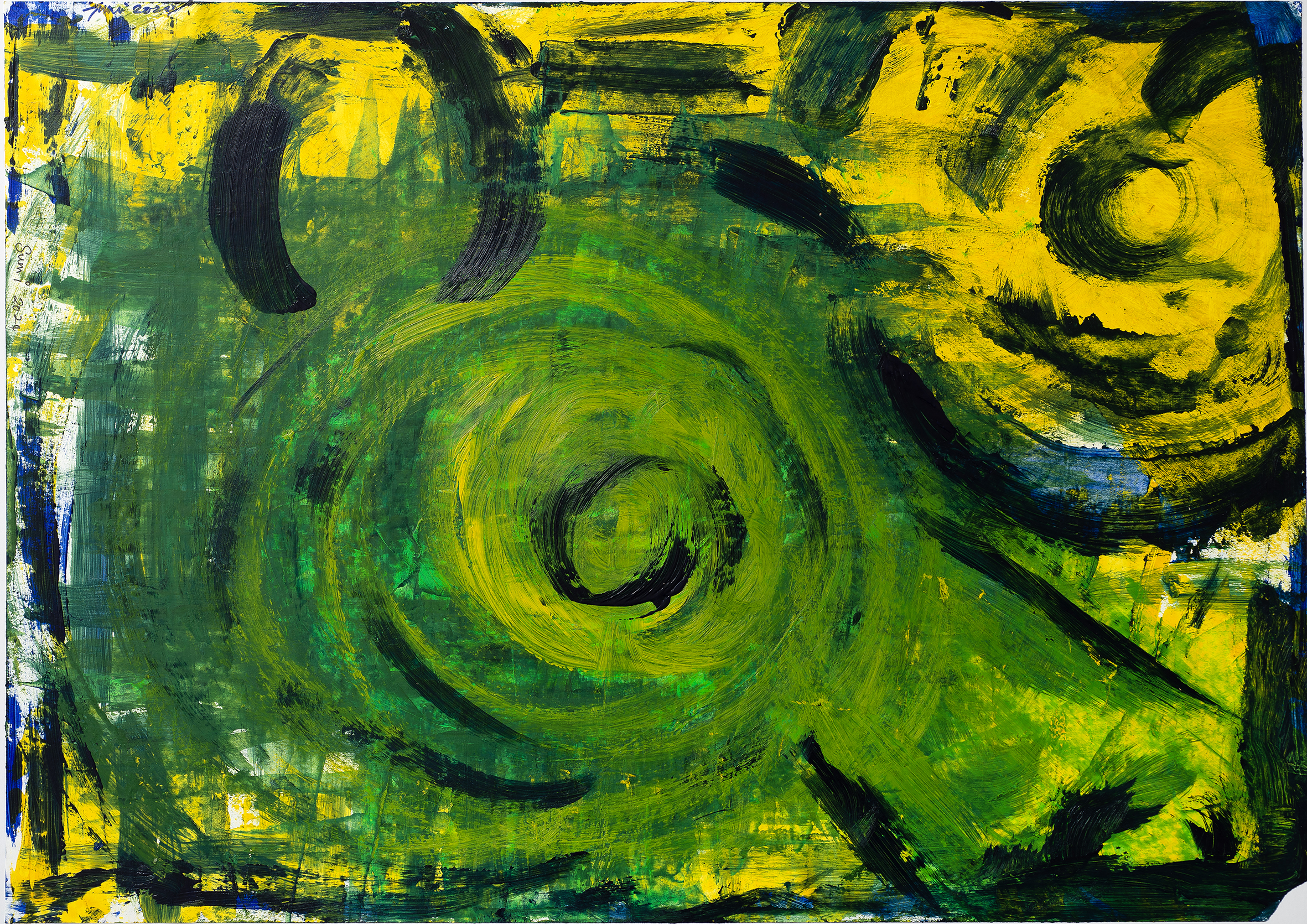 Into the murky swamps of the rainforest